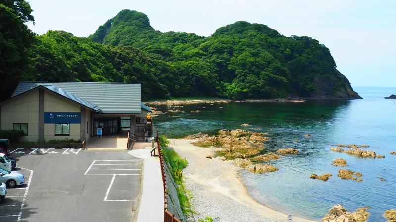竹野スノーケルセンター