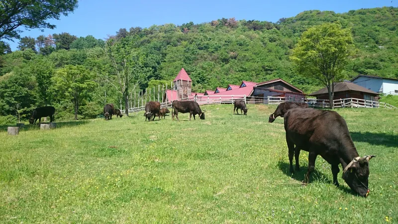 兵庫県立但馬牧場公園